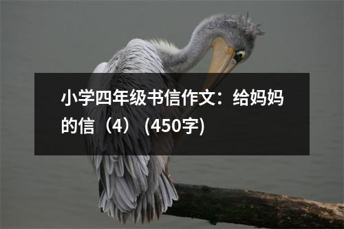 小學(xué)四年級書信作文：給媽媽的信（4） (450字)