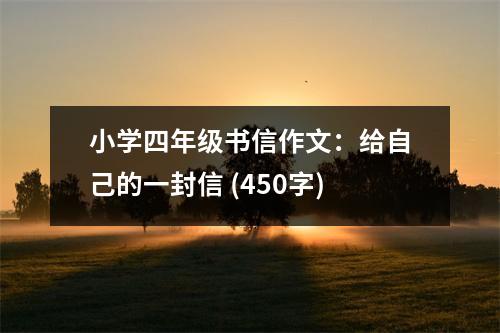 小學(xué)四年級書信作文：給自己的一封信 (450字)
