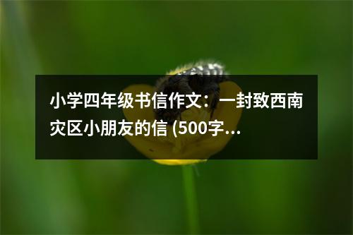 小學(xué)四年級書信作文：一封致西南災(zāi)區(qū)小朋友的信 (500字)
