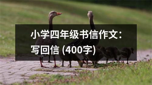 小學四年級書信作文：寫回信 (400字)