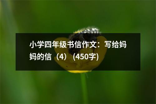 小學(xué)四年級(jí)書(shū)信作文：寫(xiě)給媽媽的信（4） (450字)