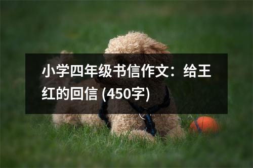 小學(xué)四年級書信作文：給王紅的回信 (450字)