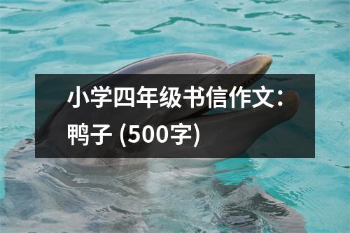 小學(xué)四年級書信作文：鴨子 (500字)