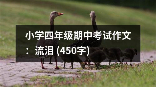 小學四年級期中考試作文：流淚 (450字)