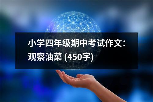 小學(xué)四年級(jí)期中考試作文：觀察油菜 (450字)