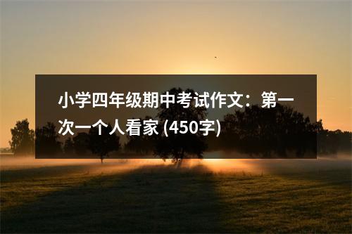 小學(xué)四年級(jí)期中考試作文：第一次一個(gè)人看家 (450字)