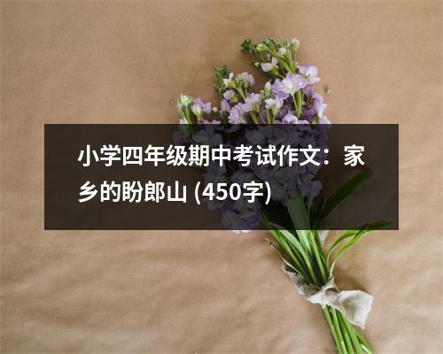 小學(xué)四年級(jí)期中考試作文：家鄉(xiāng)的盼郎山 (450字)