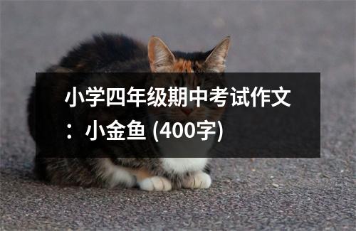 小學(xué)四年級(jí)期中考試作文：小金魚(yú) (400字)