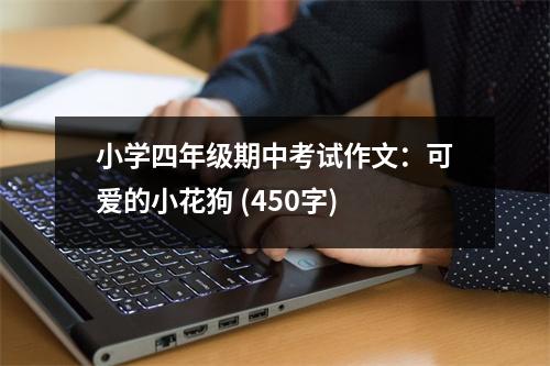 小學(xué)四年級(jí)期中考試作文：可愛的小花狗 (450字)