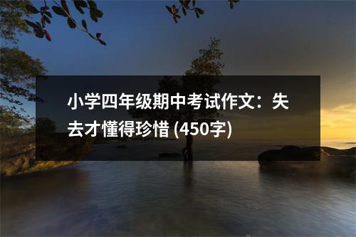 小學四年級期中考試作文：失去才懂得珍惜 (450字)