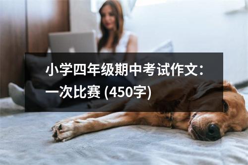 小學四年級期中考試作文：一次比賽 (450字)