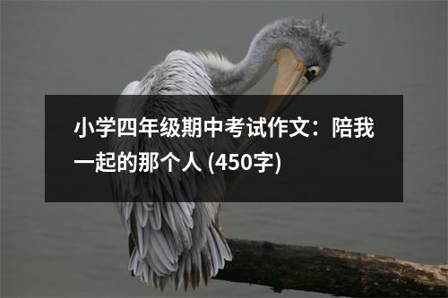 小學(xué)四年級期中考試作文：陪我一起的那個(gè)人 (450字)