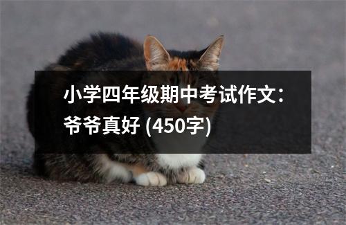 小學(xué)四年級期中考試作文：爺爺真好 (450字)