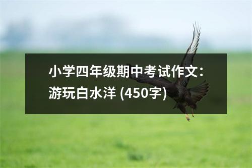 小學(xué)四年級期中考試作文：游玩白水洋 (450字)