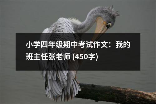 小學四年級期中考試作文：我的班主任張老師 (450字)