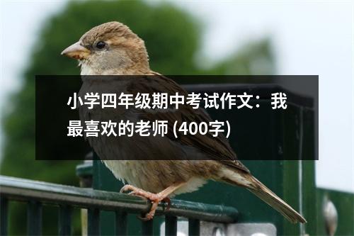 小學四年級期中考試作文：我最喜歡的老師 (400字)
