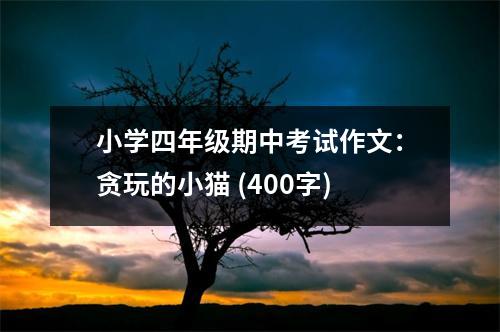 小學四年級期中考試作文：貪玩的小貓 (400字)
