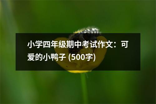 小學四年級期中考試作文：可愛的小鴨子 (500字)
