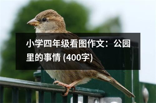小學四年級看圖作文：公園里的事情 (400字)