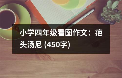 小學(xué)四年級看圖作文：疤頭湯尼 (450字)