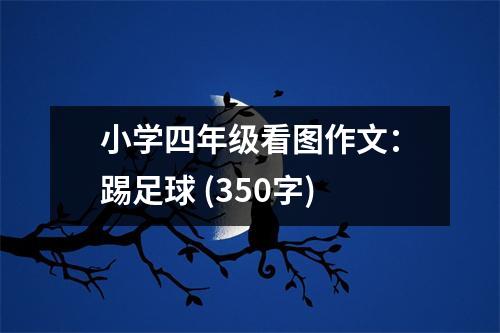 小學(xué)四年級(jí)看圖作文：踢足球 (350字)