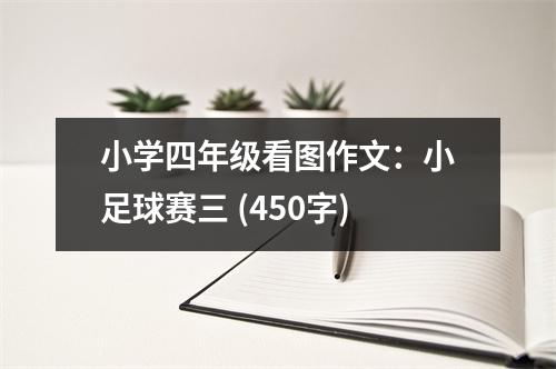 小學(xué)四年級看圖作文：小足球賽三 (450字)