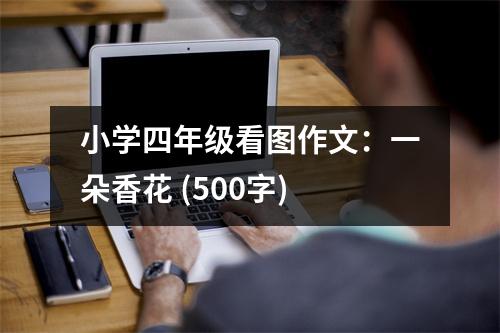 小學(xué)四年級看圖作文：一朵香花 (500字)