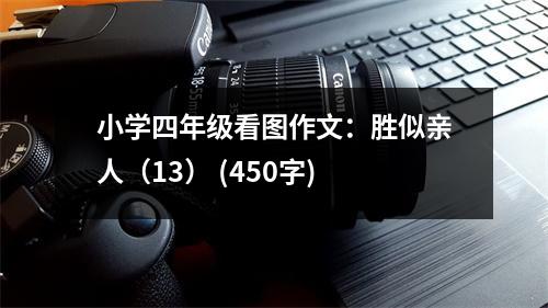 小學(xué)四年級看圖作文：勝似親人（13） (450字)