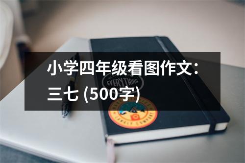 小學(xué)四年級看圖作文：三七 (500字)