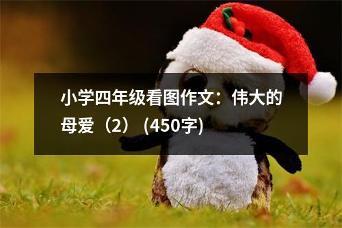 小學(xué)四年級看圖作文：偉大的母愛（2） (450字)