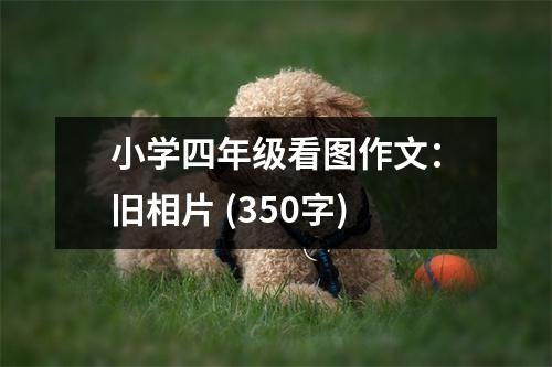 小學(xué)四年級看圖作文：舊相片 (350字)