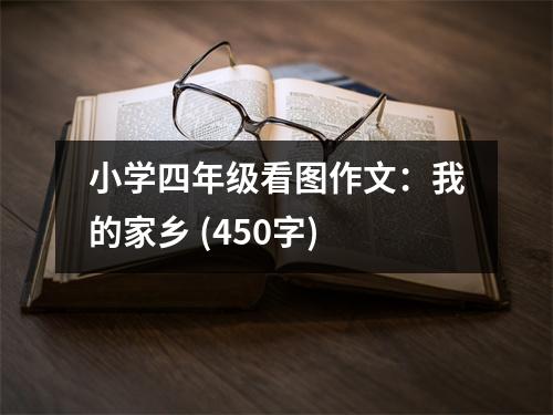 小學(xué)四年級看圖作文：我的家鄉(xiāng) (450字)