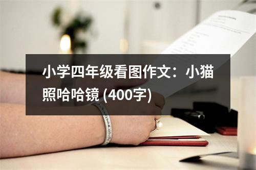 小學四年級看圖作文：小貓照哈哈鏡 (400字)