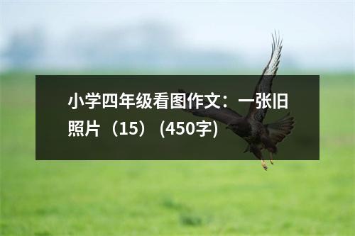 小學四年級看圖作文：一張舊照片（15） (450字)
