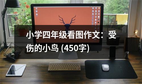 小學(xué)四年級(jí)看圖作文：受傷的小鳥 (450字)