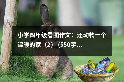 小學(xué)四年級(jí)看圖作文：還動(dòng)物一個(gè)溫暖的家（2） (550字)