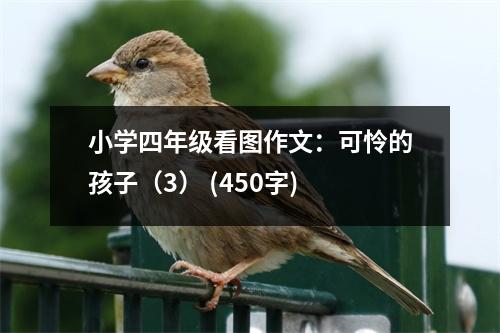 小學(xué)四年級(jí)看圖作文：可憐的孩子（3） (450字)