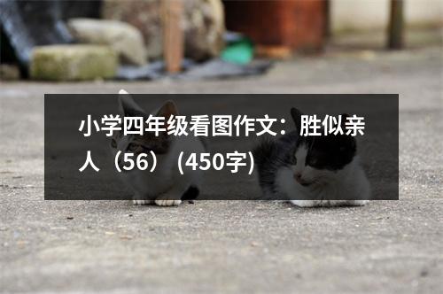 小學(xué)四年級(jí)看圖作文：勝似親人（56） (450字)