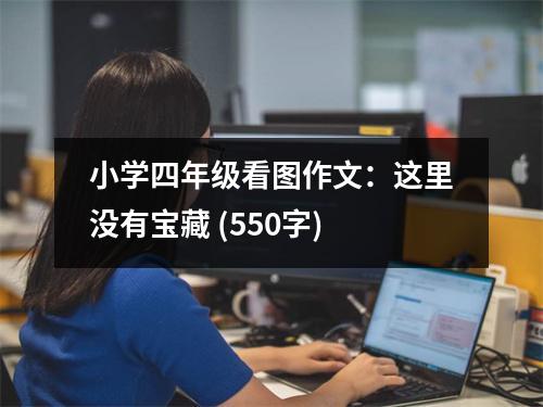小學(xué)四年級(jí)看圖作文：這里沒(méi)有寶藏 (550字)