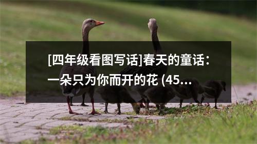 [四年級(jí)看圖寫話]春天的童話：一朵只為你而開的花 (450字)