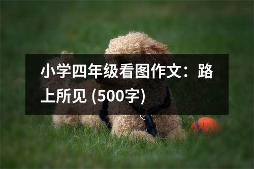 小學(xué)四年級(jí)看圖作文：路上所見(jiàn) (500字)
