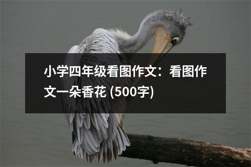 小學(xué)四年級(jí)看圖作文：看圖作文一朵香花 (500字)