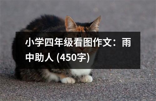 小學(xué)四年級(jí)看圖作文：雨中助人 (450字)