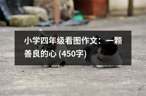 小學四年級看圖作文：一顆善良的心 (450字)