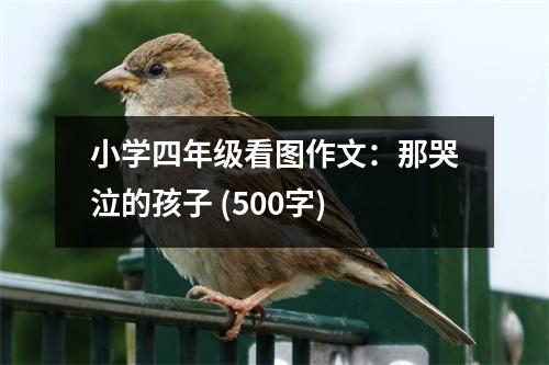 小學(xué)四年級(jí)看圖作文：那哭泣的孩子 (500字)