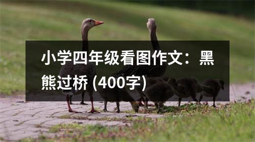 小學四年級看圖作文：黑熊過橋 (400字)