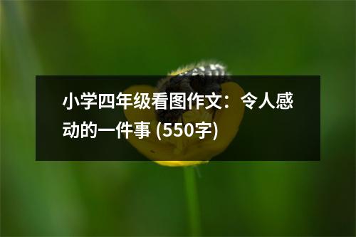 小學四年級看圖作文：令人感動的一件事 (550字)
