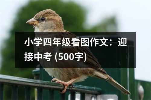 小學(xué)四年級(jí)看圖作文：迎接中考 (500字)