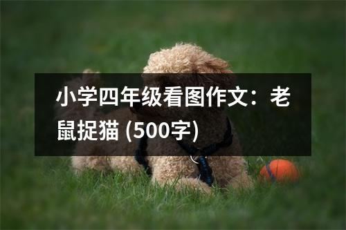 小學(xué)四年級(jí)看圖作文：老鼠捉貓 (500字)