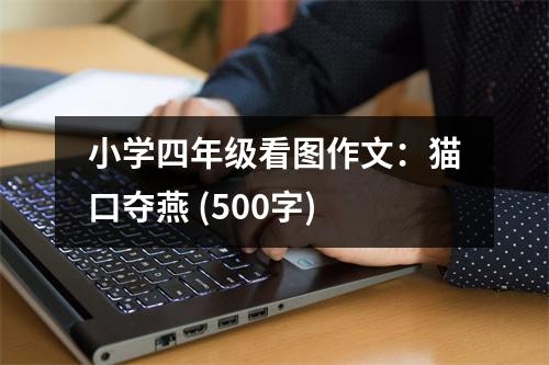 小學四年級看圖作文：貓口奪燕 (500字)